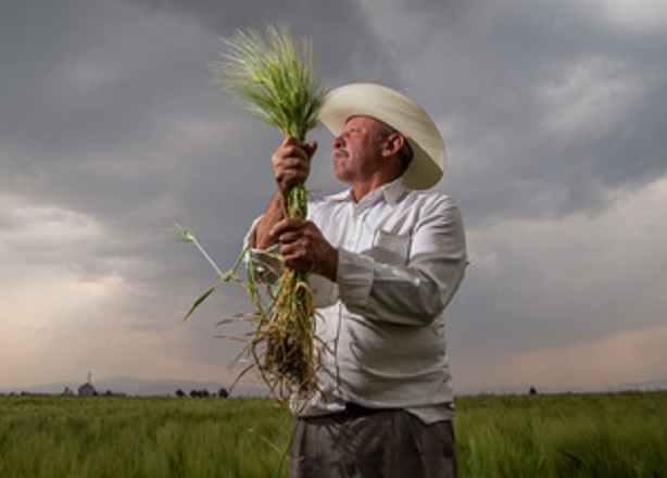 Registra balanza comercial agroalimentaria superávit de seis mil 333 mdd en 2021