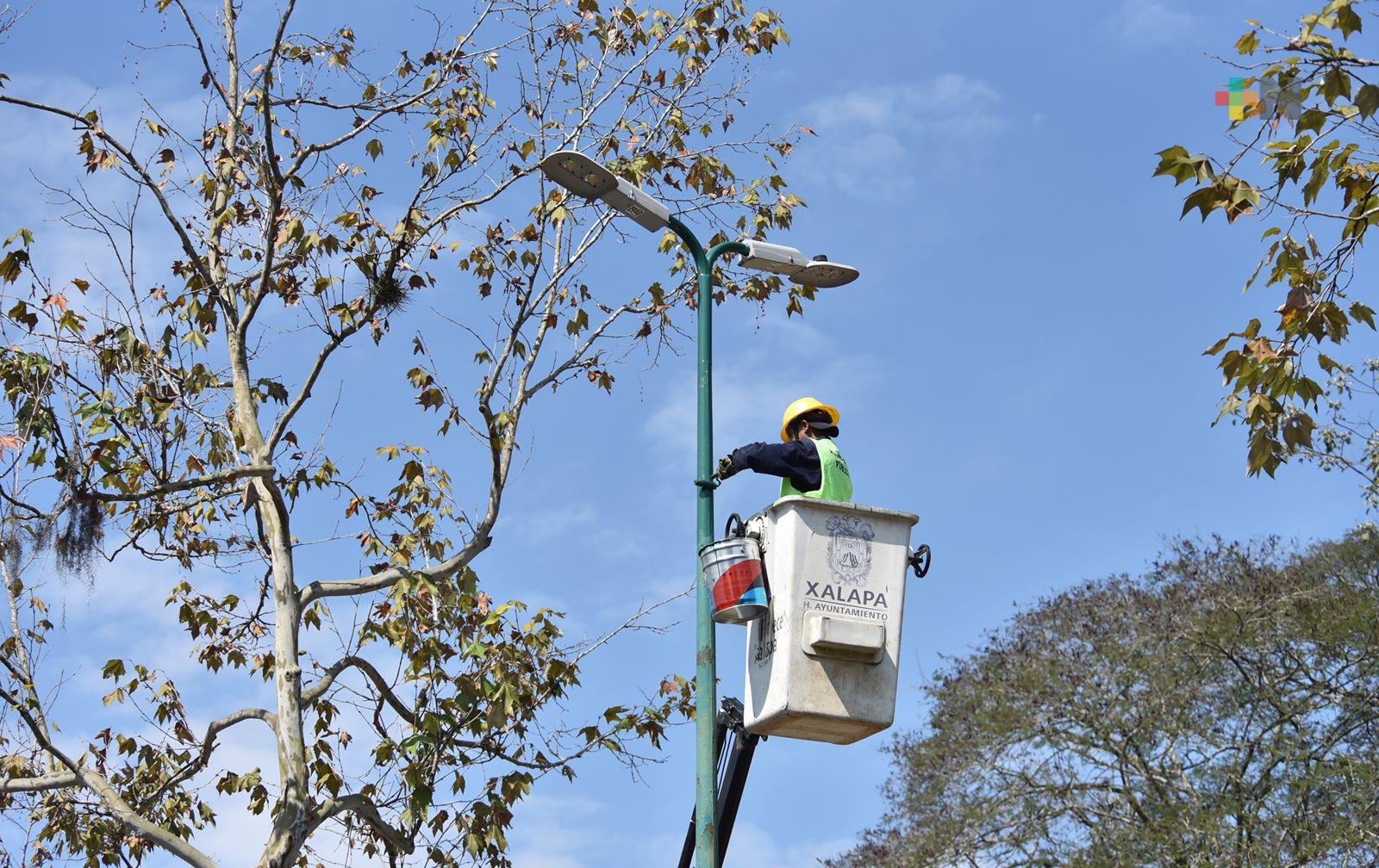 Dan mantenimiento a la red de alumbrado público de Xalapa