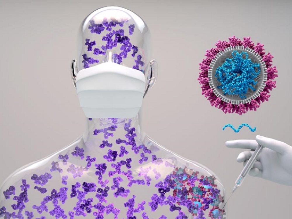 “Inmunidad híbrida” ayuda contra el long covid