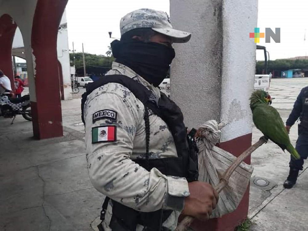 Guardia Nacional tendrá nuevas comandancias en Omealca e Ixhuatlán de Madero