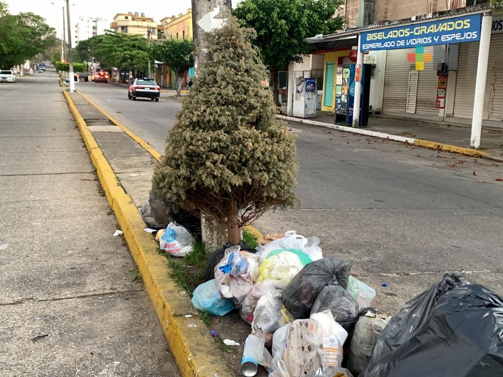 Continúan dejando árboles de Navidad en calles de Coatzacoalcos
