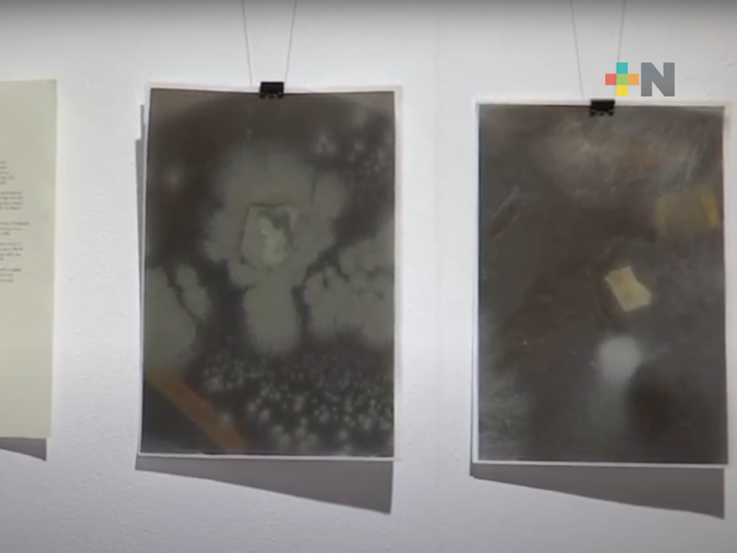 Exponen Vida, Celebración y Venganza, en Jardín de las Esculturas de Xalapa