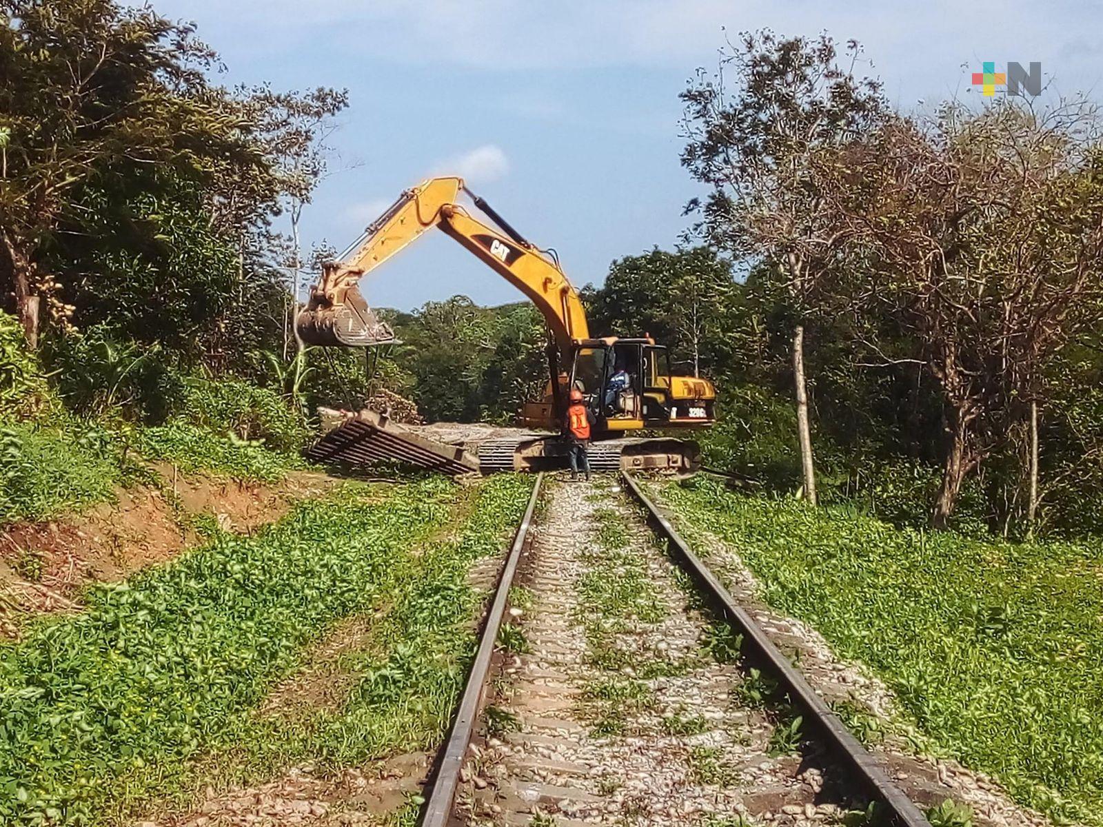 Ferrocarril continúa siendo importante medio de transporte y fuente de empleo