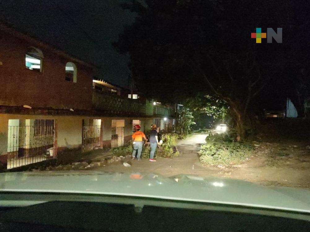 Frente frío 19 deja espectaculares, postes y ramas caídas en Coatzacoalcos