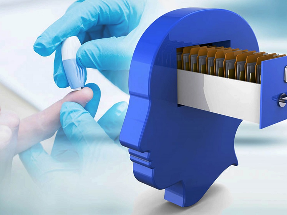 Induce diabetes envejecimiento cerebral acelerado