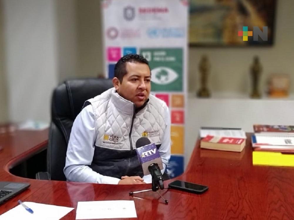 “Recicla tu Navidad” espera recolectar 8 mil pinos en 33 municipios