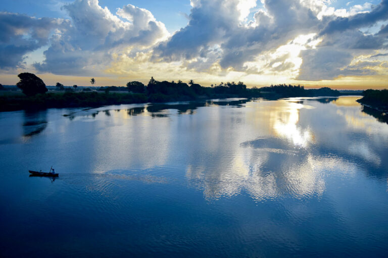 Centro Cultural del Sotavento presenta la exposición virtual La sinfonía del trópico