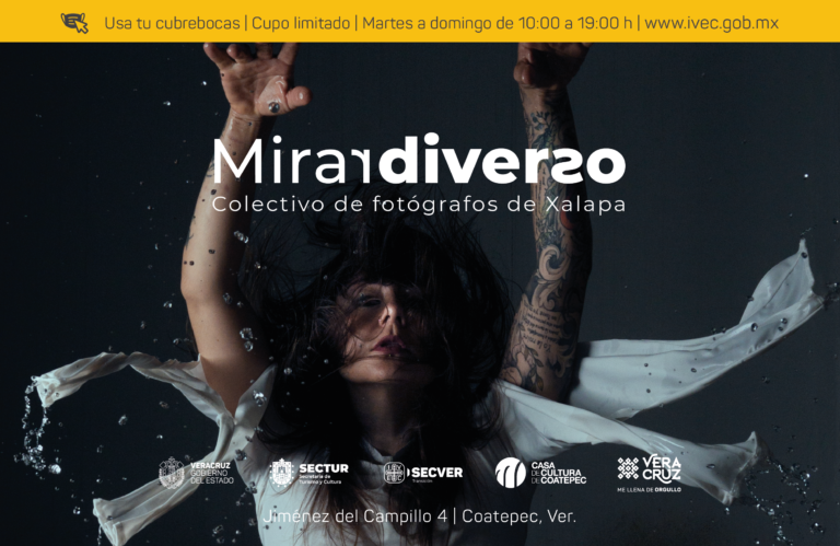 Presenta Casa de Cultura de Coatepec la exposición Mirar diverso