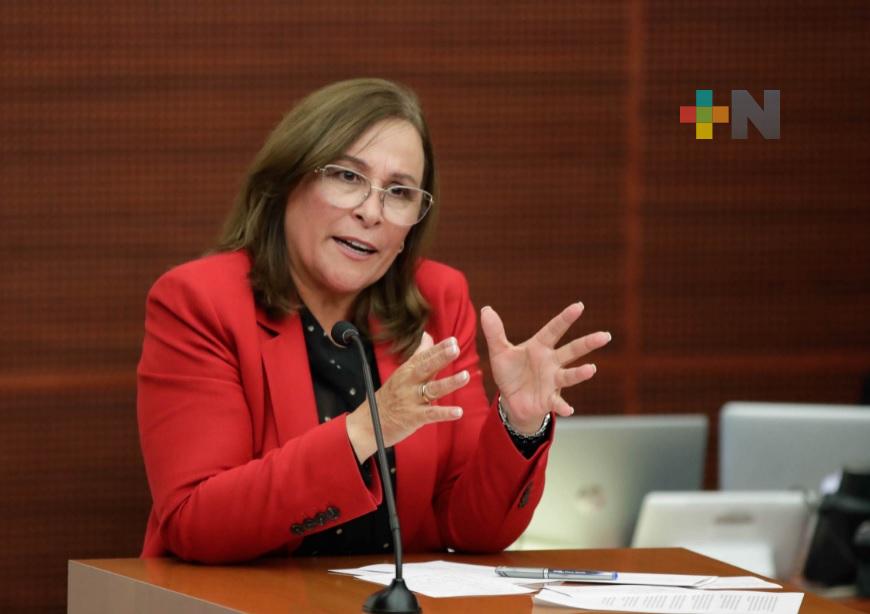 Titular de la Sener, Rocío Nahle encabezará algunos foros sobre la Reforma Eléctrica