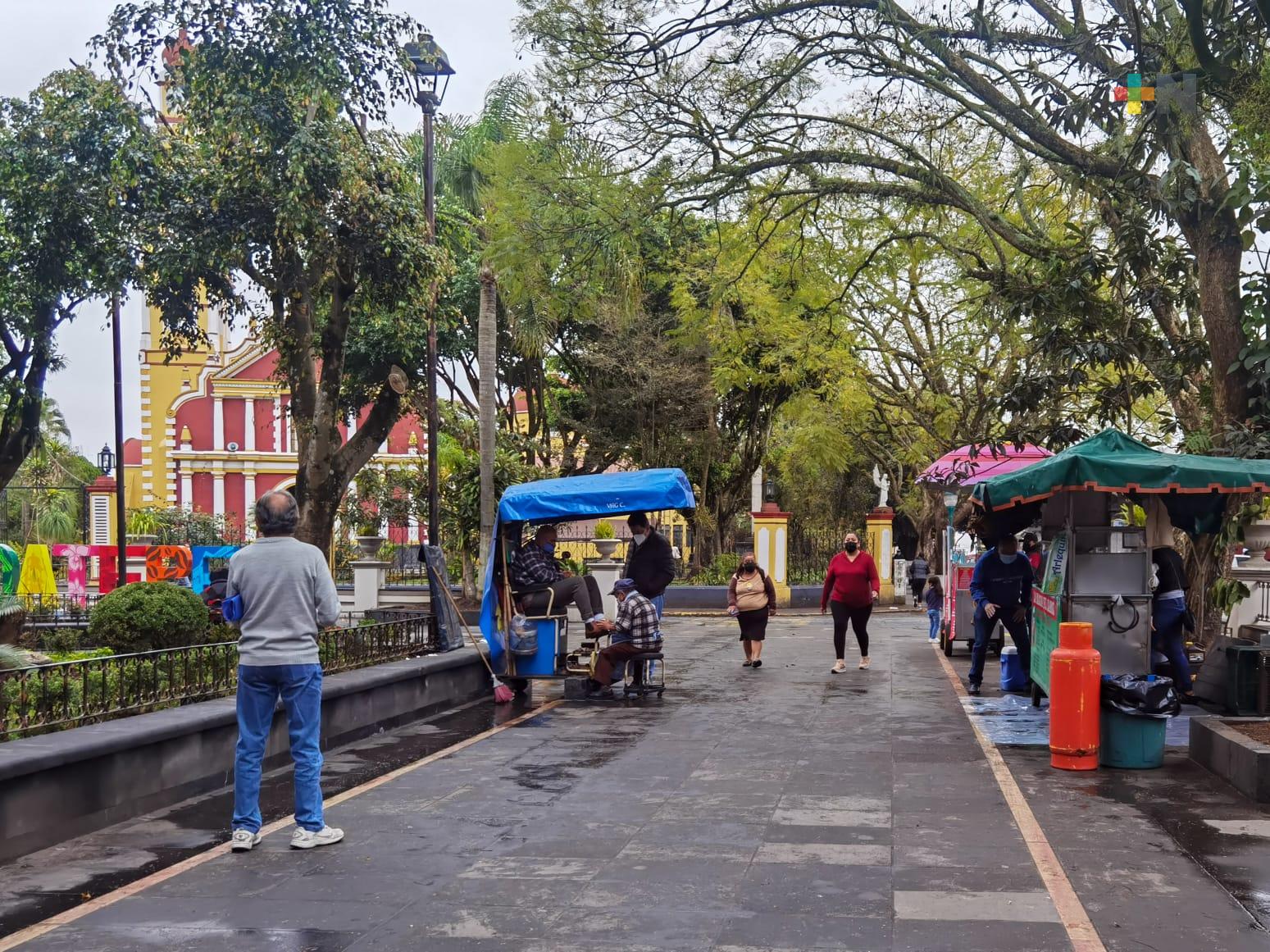 Comerciantes regresan al parque Miguel Hidalgo en Coatepec