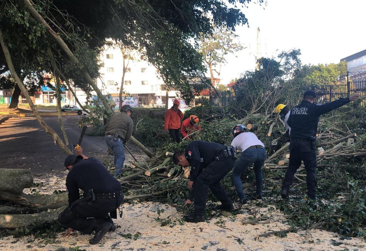 Activa SSP Plan Tajín en Xalapa