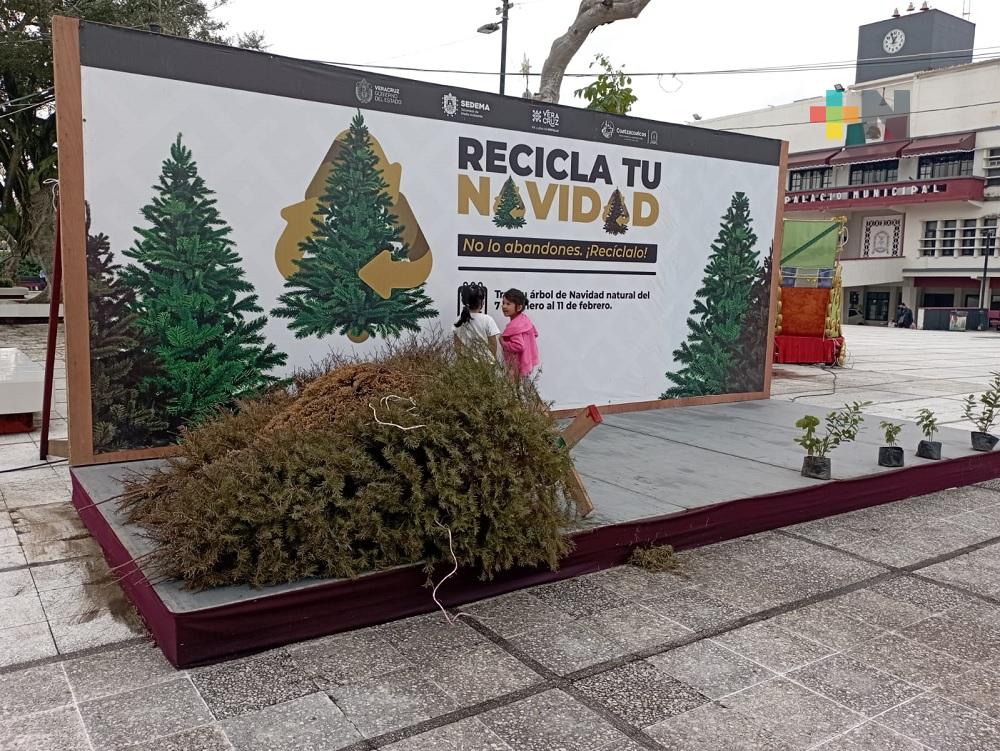 Poco interés de coatzacoalqueños en campaña «Recicla tu Navidad»