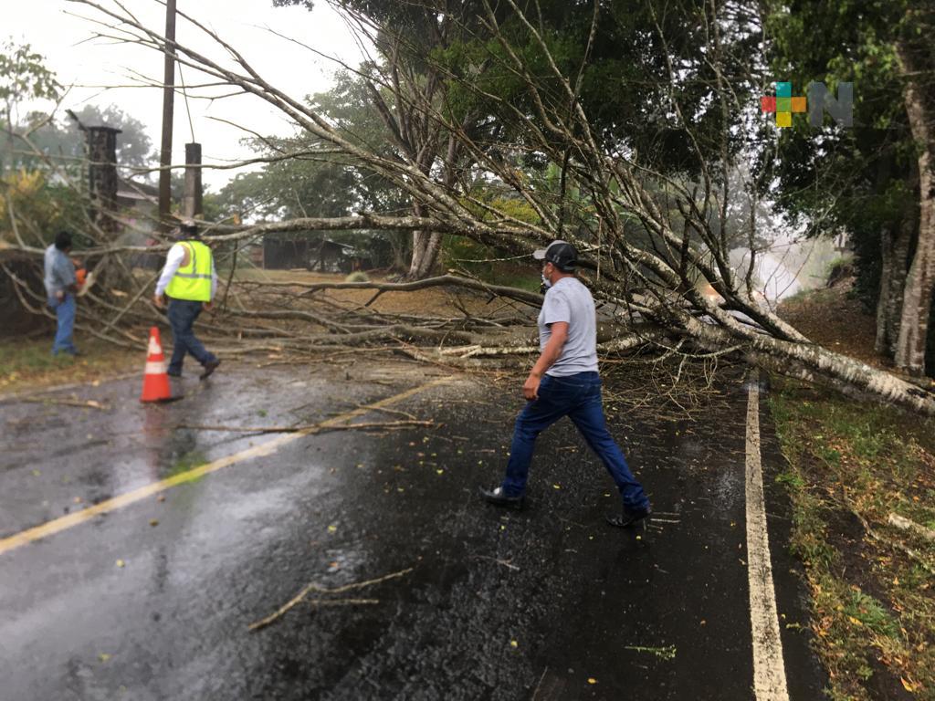 PC Estatal reporta afectaciones por el paso del Frente Frío #21