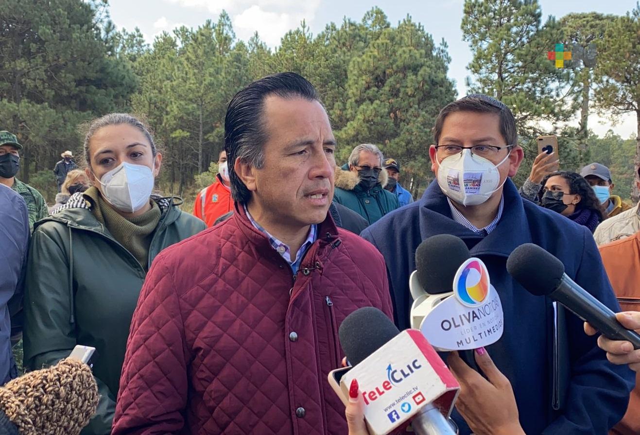 Hay operativo constante contra talamontes, responsables de incendios: Gobernador