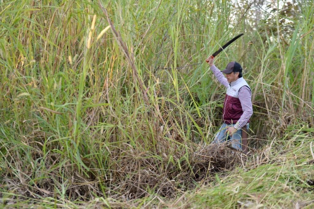 Gobernador y dependencias hacen tequio en el bulevar Xalapa-Coatepec