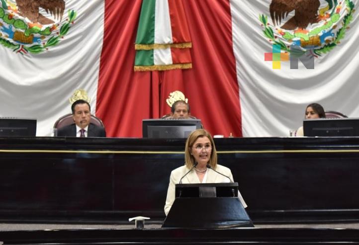 Solicita diputada Cecilia Guevara al Senado aclarar existencia de una Comisión Especial