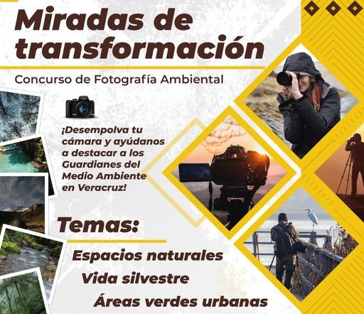 Invita Sedema a participar en concurso de fotografía