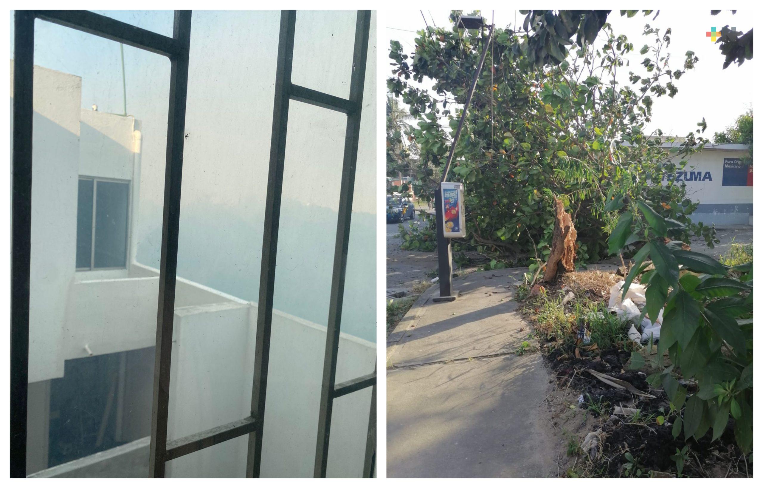 Daños materiales dejó el evento de norte registrado en Boca del Río