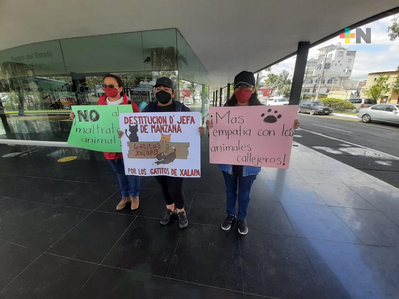 Piden rescatistas destituir a jefa de manzana por presuntamente amenazar con erradicar a gatos