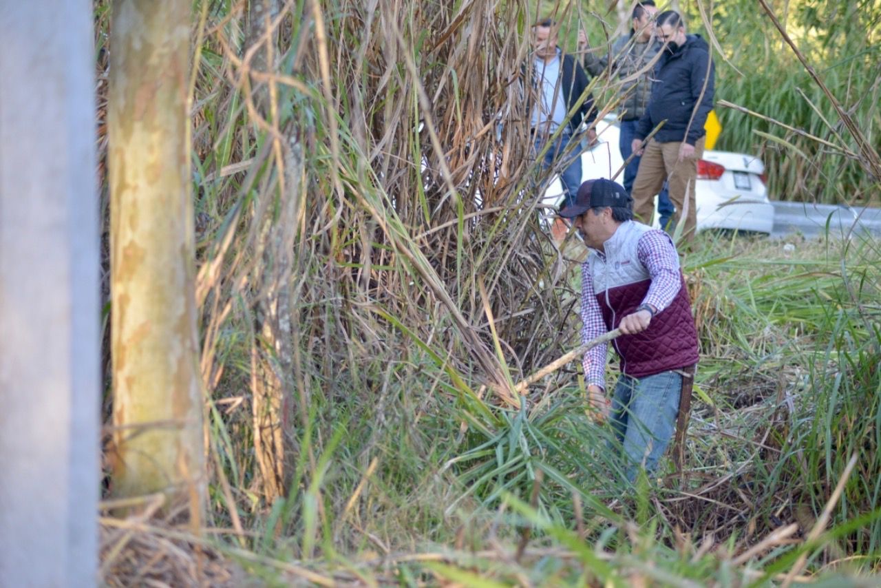 Más de mil servidores públicos le cambian el rostro al bulevar Xalapa-Coatepec