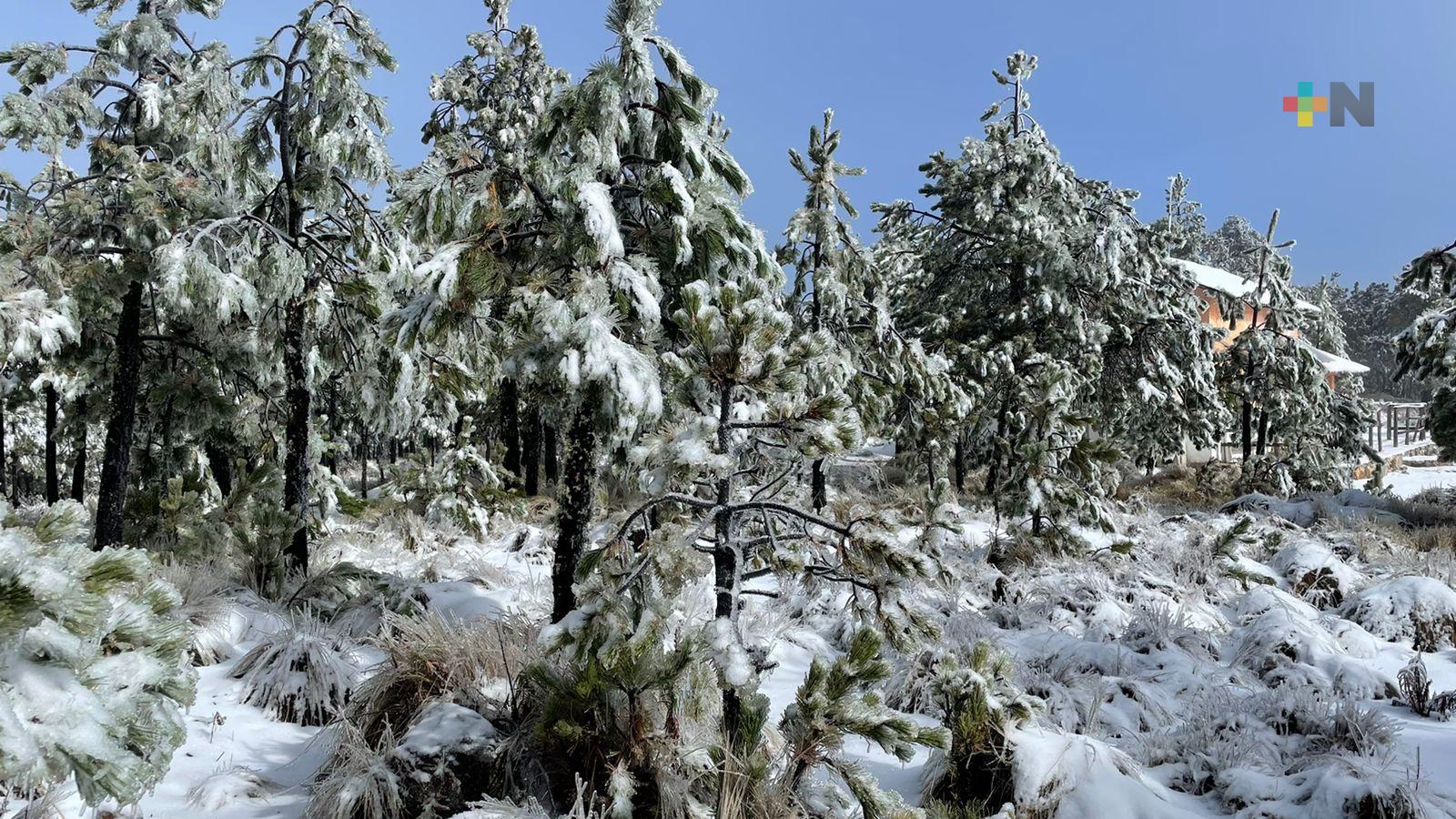 Exhortan a seguir recomendaciones de Protección Civil al subir al Cofre de Perote