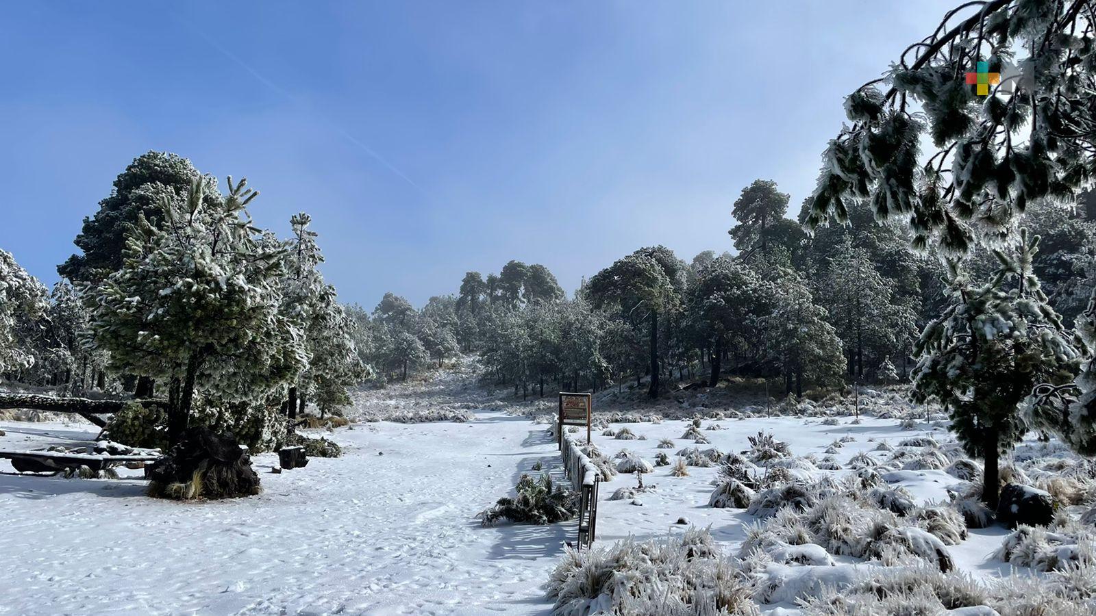 Se registró en el Cofre de Perote la primera nevada del 2022