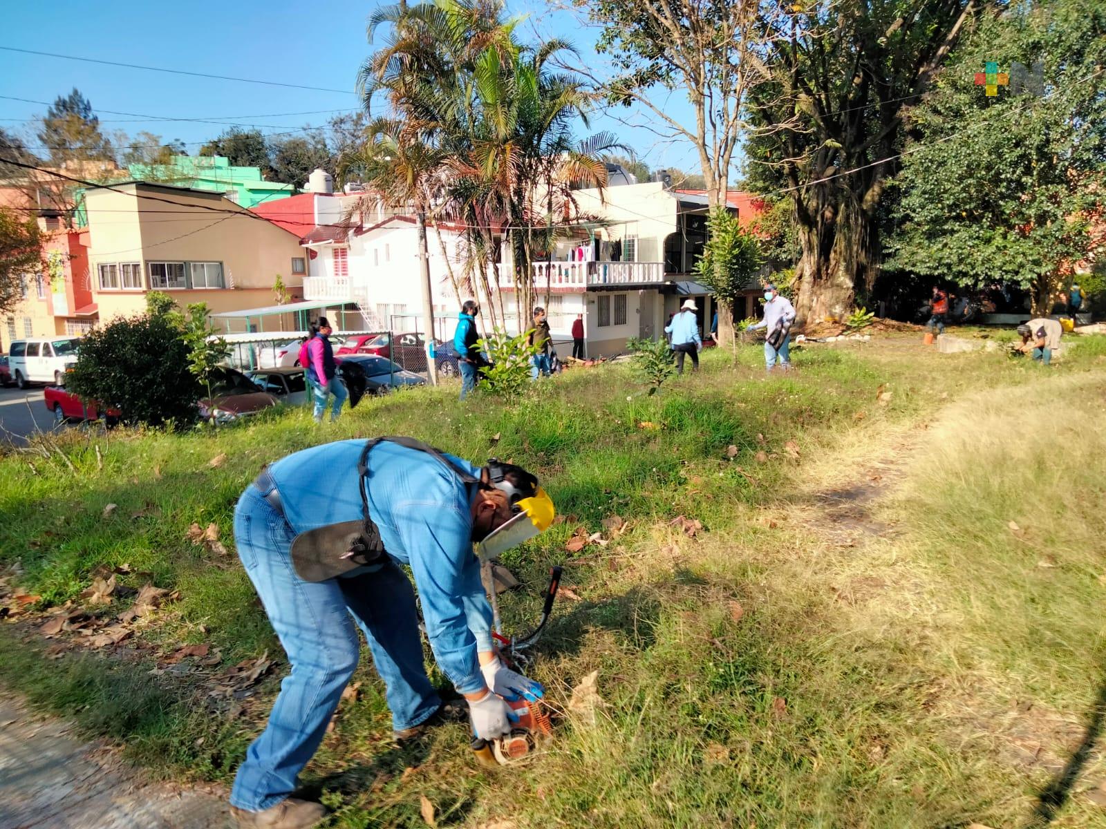 Ayuntamiento de Xalapa implementó jornadas itinerantes de chapeo y mantenimiento