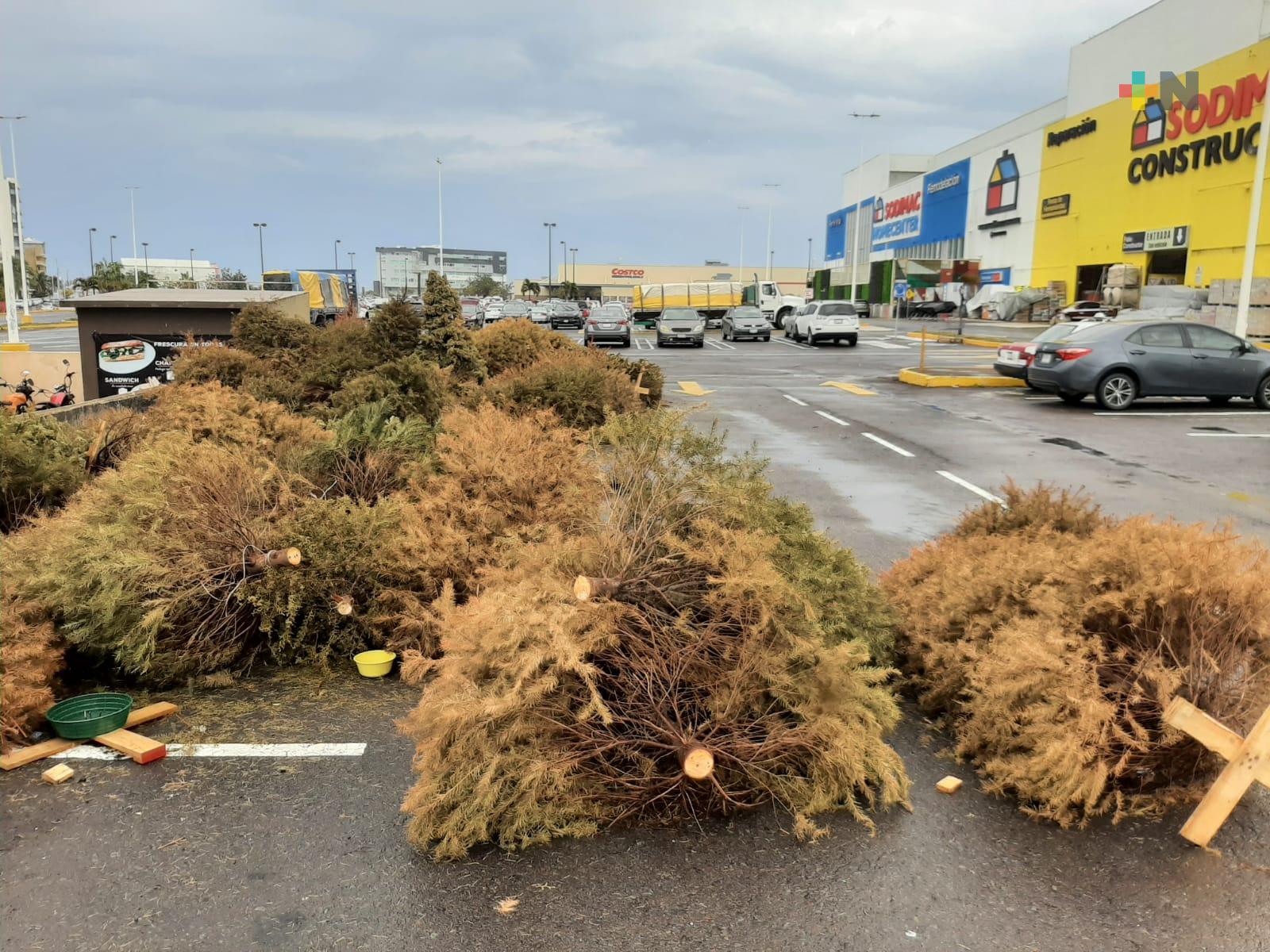 Operan 80 centros de acopio del programa Recicla tu Navidad