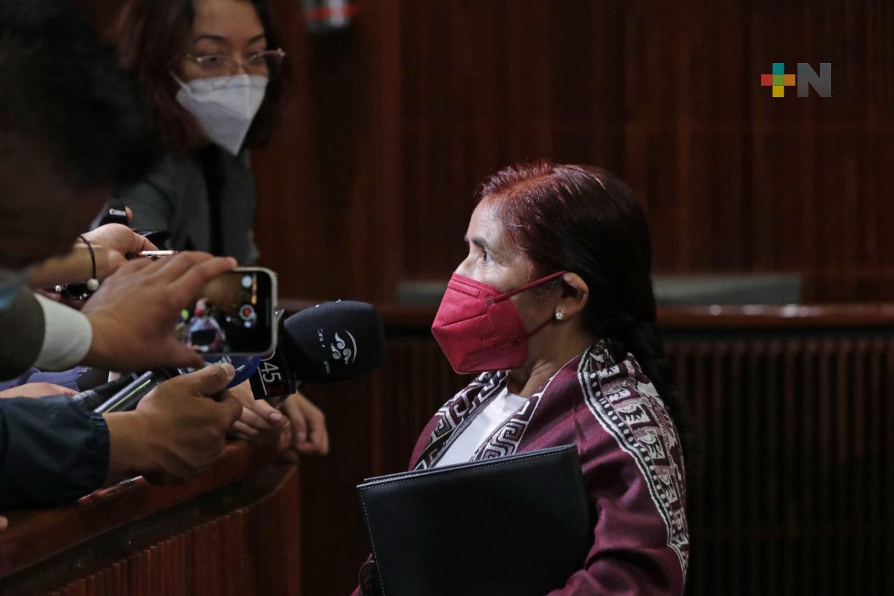 Reforma electoral podría abordarse en periodo extraordinario de la LXV Legislatura: Graciela Sánchez