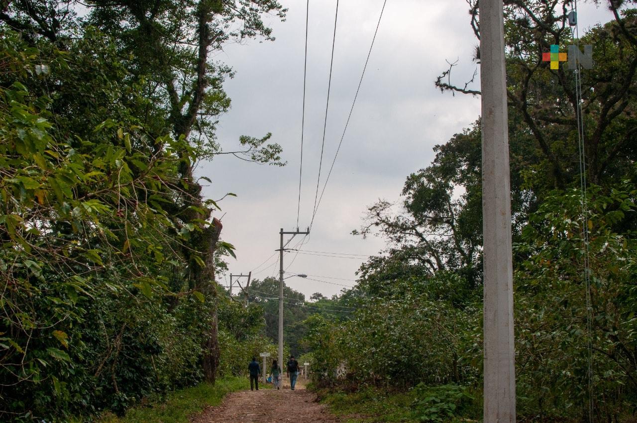 Sin afectaciones en Coatepec, por lluvias y baja temperaturas
