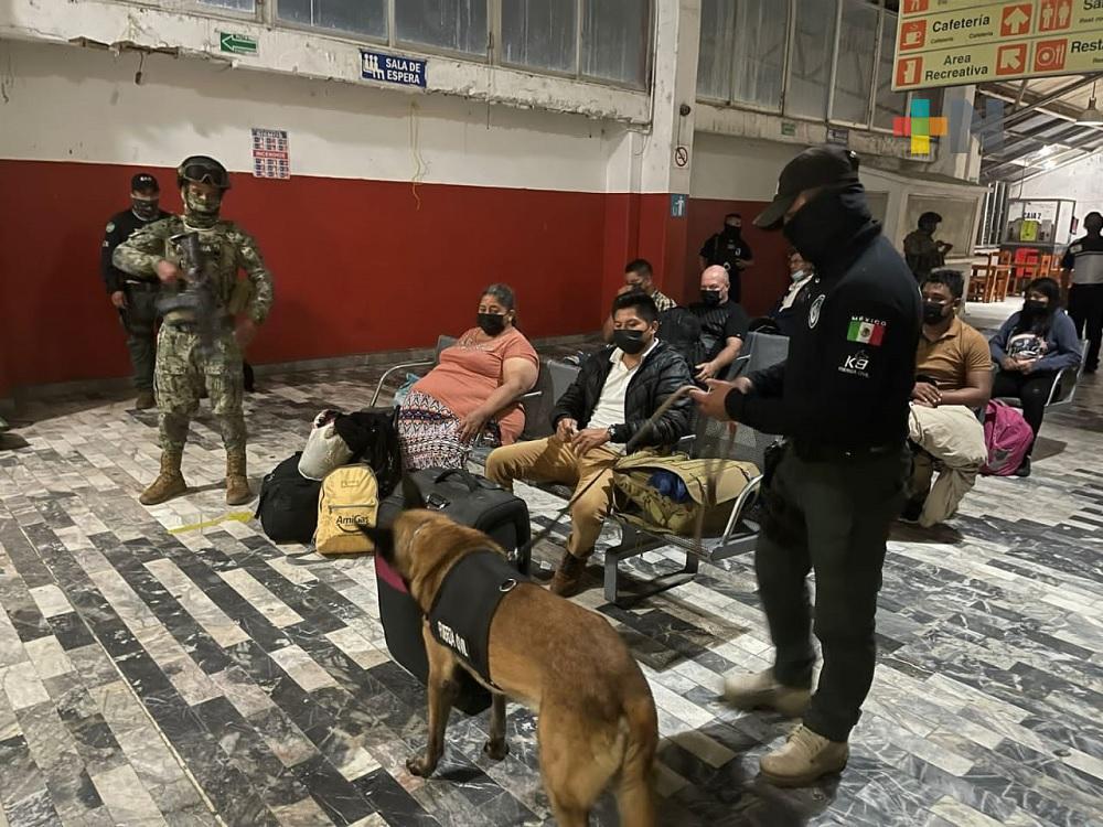 Vacunan a perros policías de Coatzacoalcos
