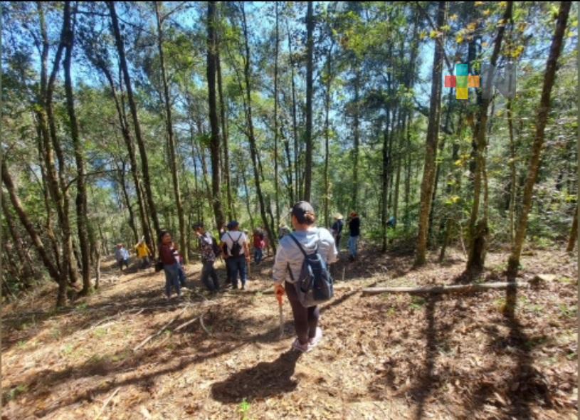 Cuerpos policiacos y habitantes de Zacualpan colaboran en la búsqueda de Fidel N