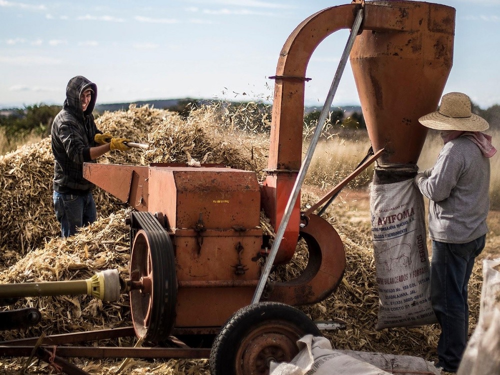 Reforma eléctrica, fundamental para reducir desigualdades en el campo: Agricultura