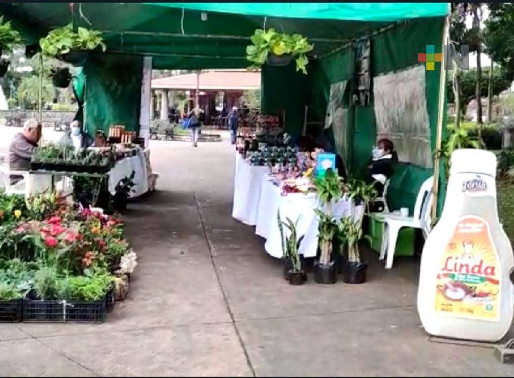 Del 12 al 28 de febrero realizarán Expo Turística Artesanal de Fortín