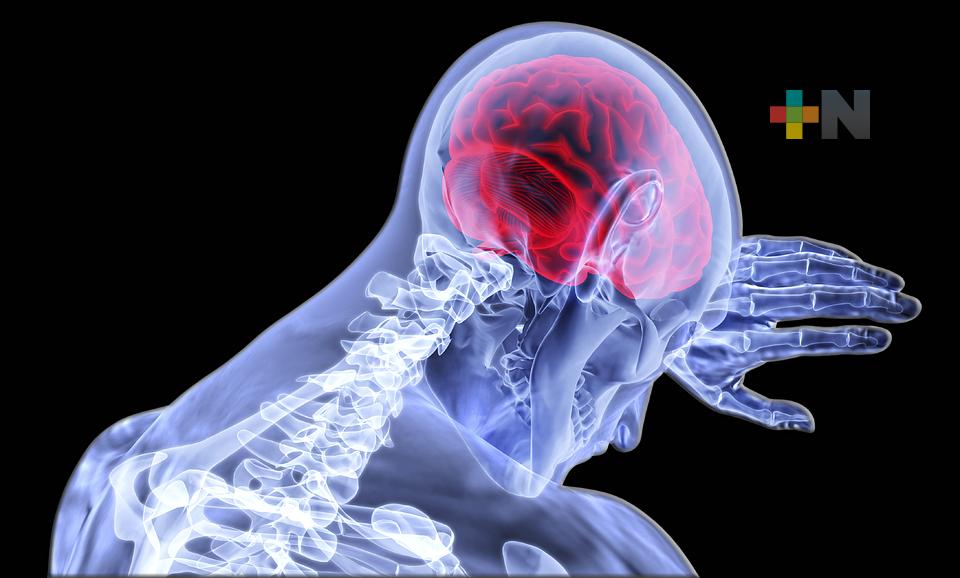 Alerta IMSS Veracruz Norte sobre síntomas encefalitis