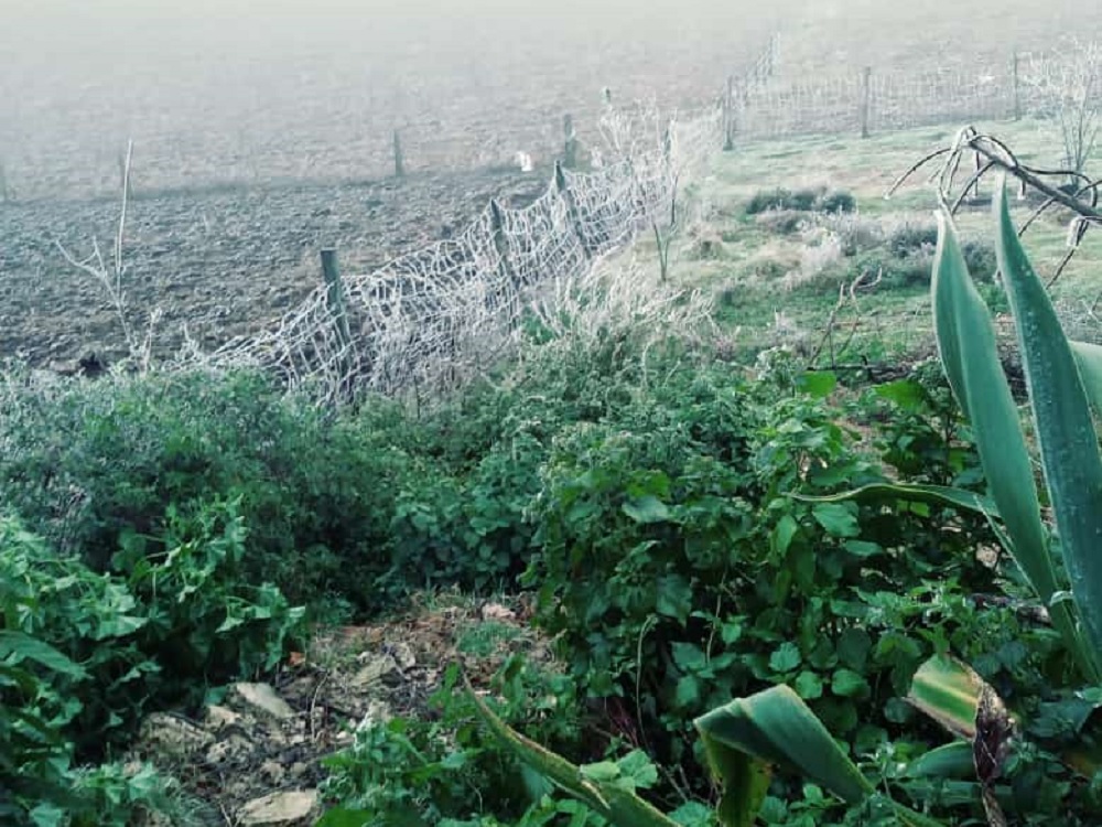 Este diciembre pudiera ser más frío que años anteriores