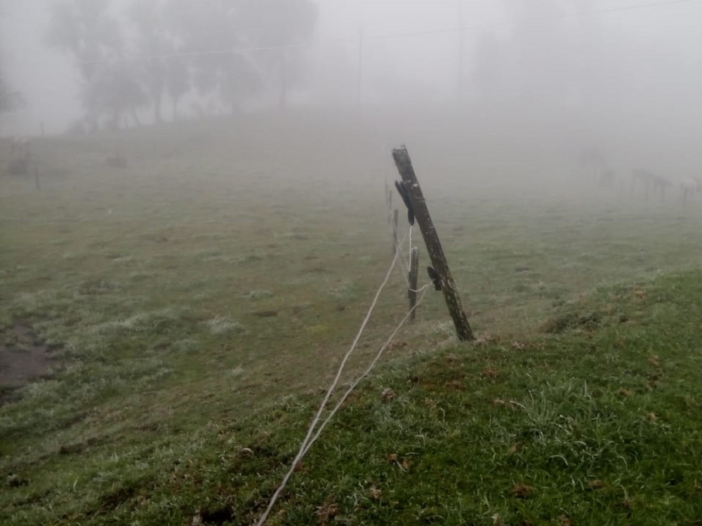 Temperaturas de 0 a 5 grados Celsius en zona montañosa de Veracruz