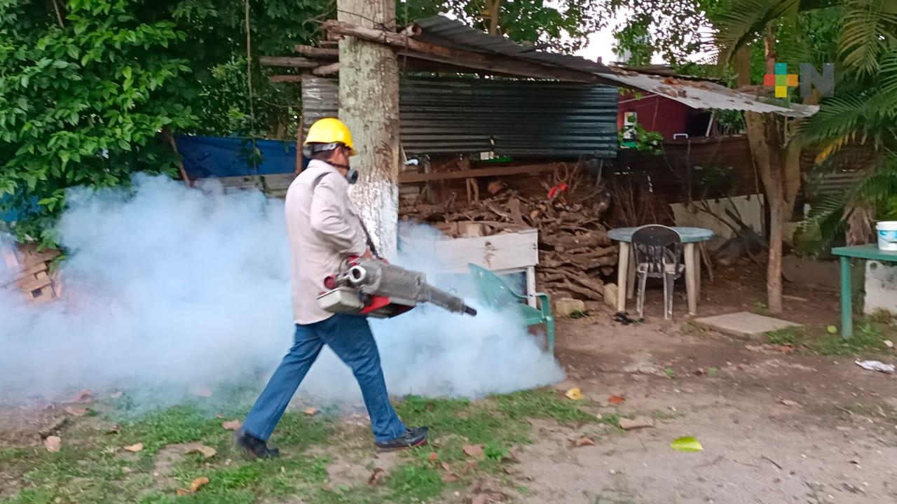 Evitar criaderos para prevenir dengue, chikungunya y Zika, la mejor opción