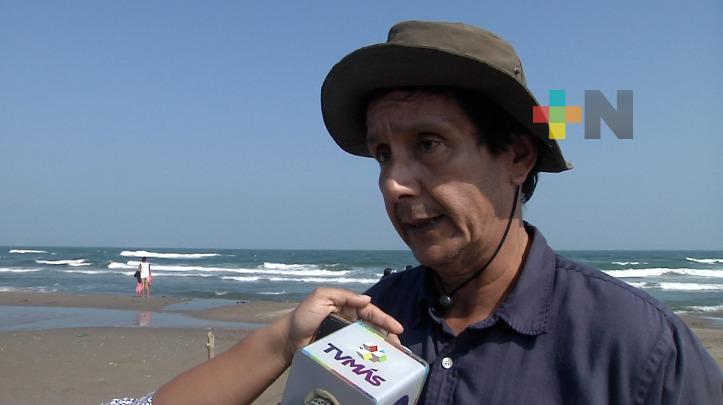 Faltan recursos para protección y estudio de especies marinas: Homero Benet