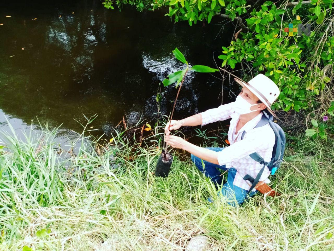 Organizaciones de la sociedad civil contribuyen a conservar humedales