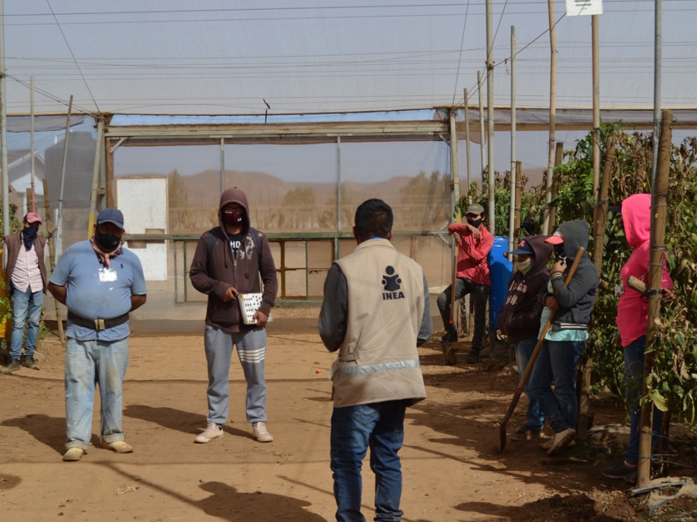 Ofrecerá INEA servicios educativos a 94 mil jornaleros agrícolas de 24 entidades de México