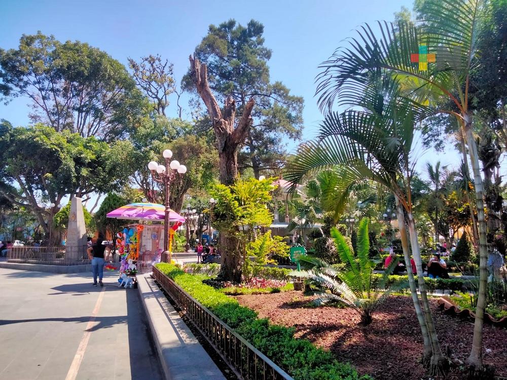 Inicia reordenamiento de comerciantes informales en municipio de Coatepec