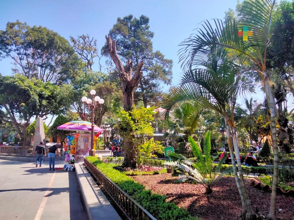 Gran expectativa económica en la región genera el Encuentro Cultural Orgullo Veracruzano