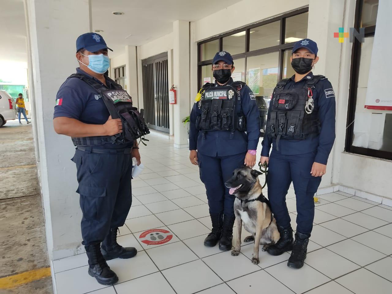 Se integran siete canes a la policía de Coatzacoalcos