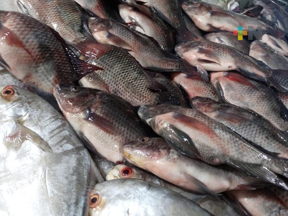 En Coatzacoalcos, comerciantes de mariscos esperan repunte de ventas durante Cuaresma