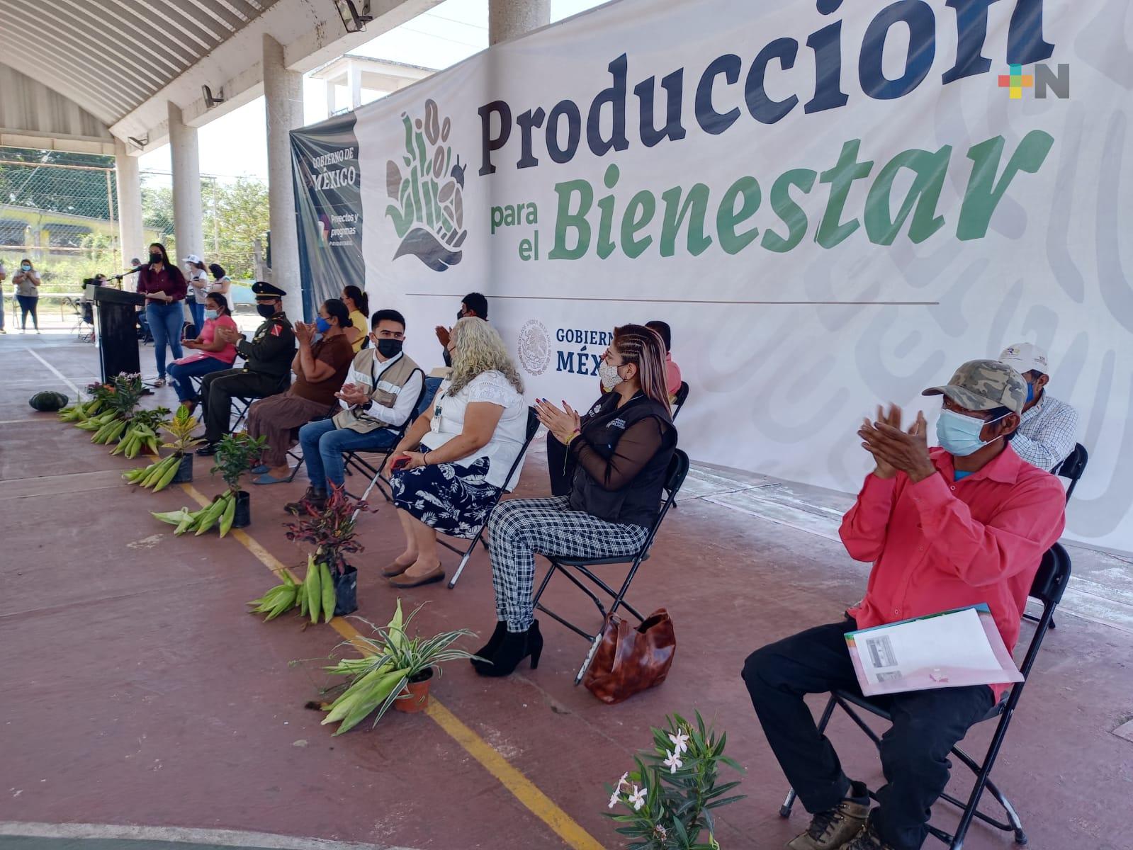 Verifican a 12 mil beneficiarios de «Producción para el bienestar» en zona sur