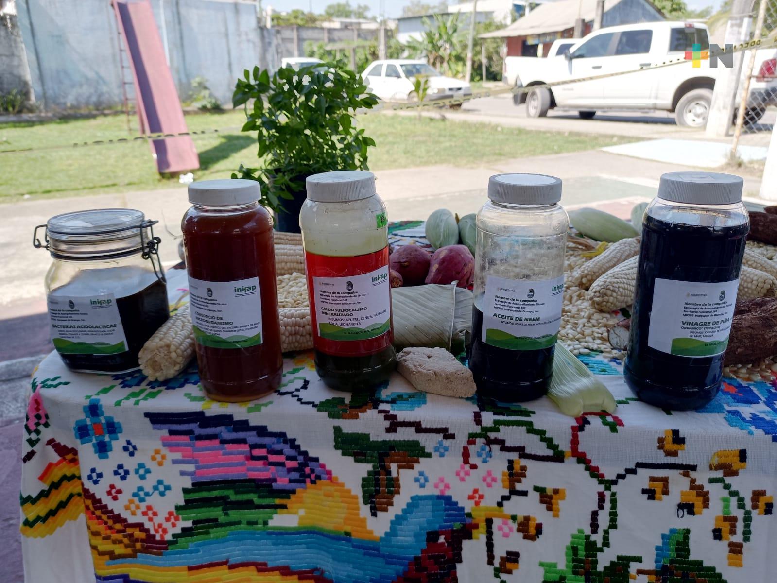 «Producción para el bienestar» fomenta agricultura orgánica que genera más producto