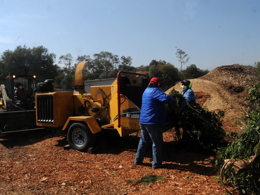 Reaprovecha UNAM residuos para producir composta y regenerar los suelos