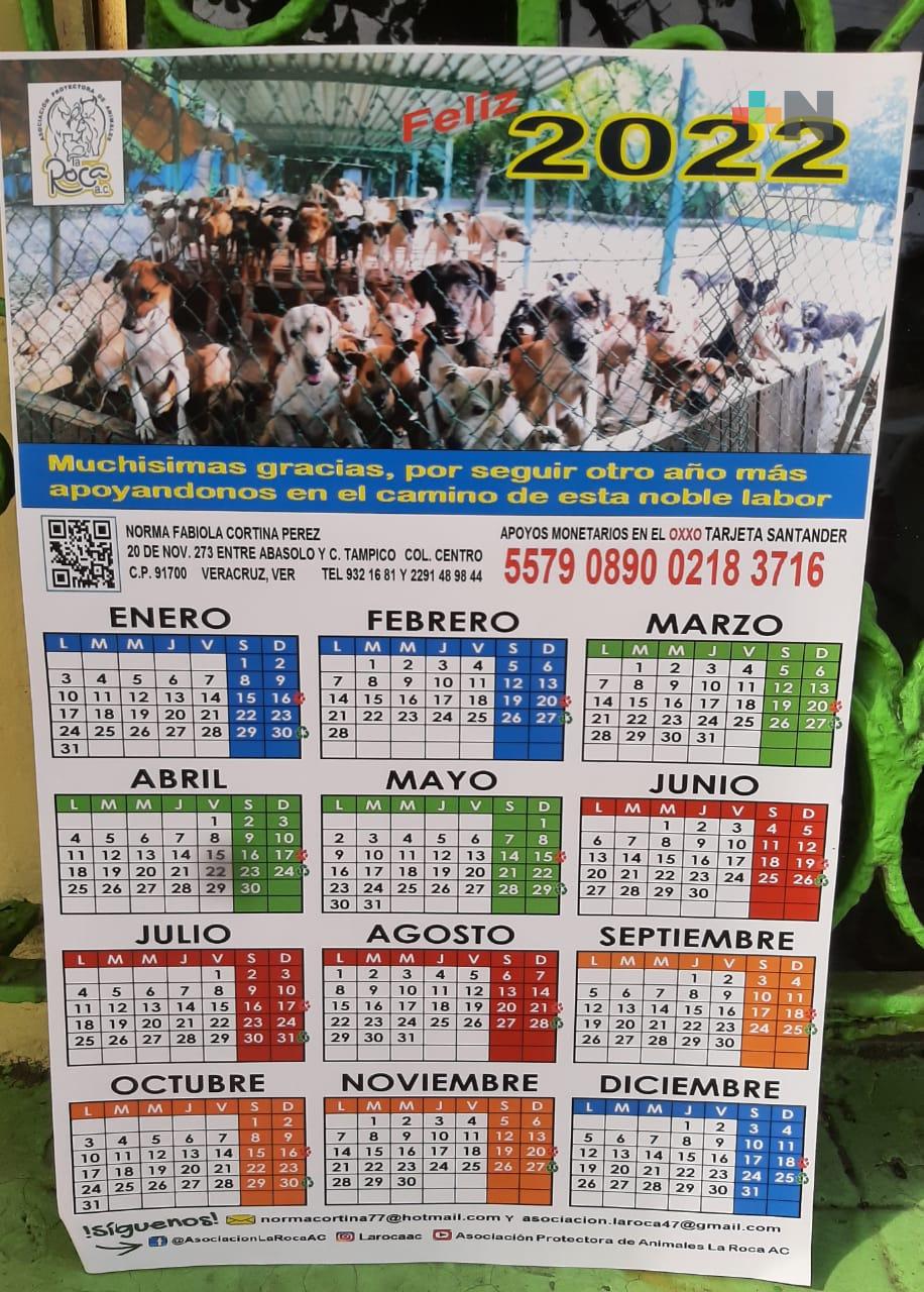 Invitan al Recican, jornada de acopio de reciclables para apoyar albergue animal