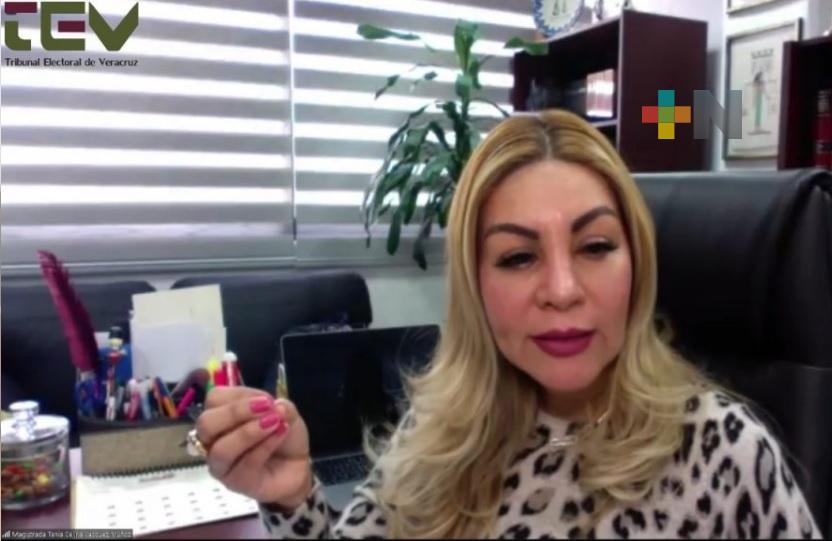 El TEV imparte segunda capacitación virtual para la zona de Altas Montañas